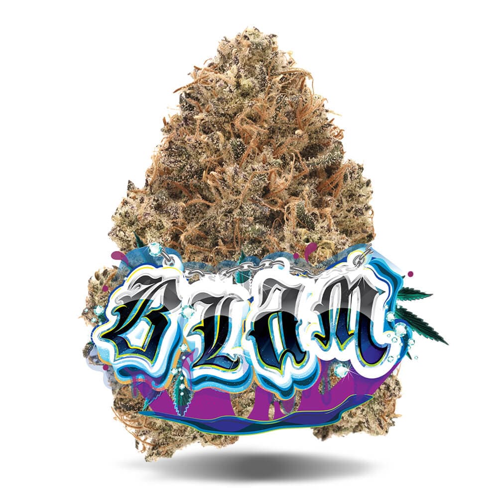 Jungle Boys BLAM - Premium Flower