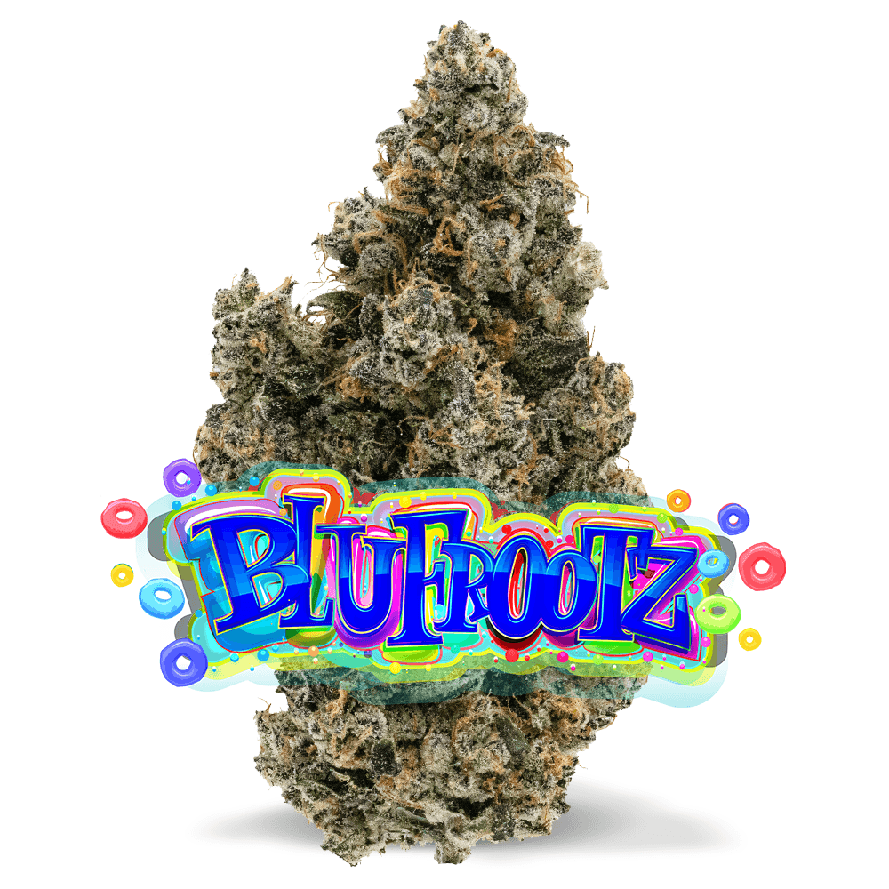 Jungle Boys Blu Frootz - Premium Flower