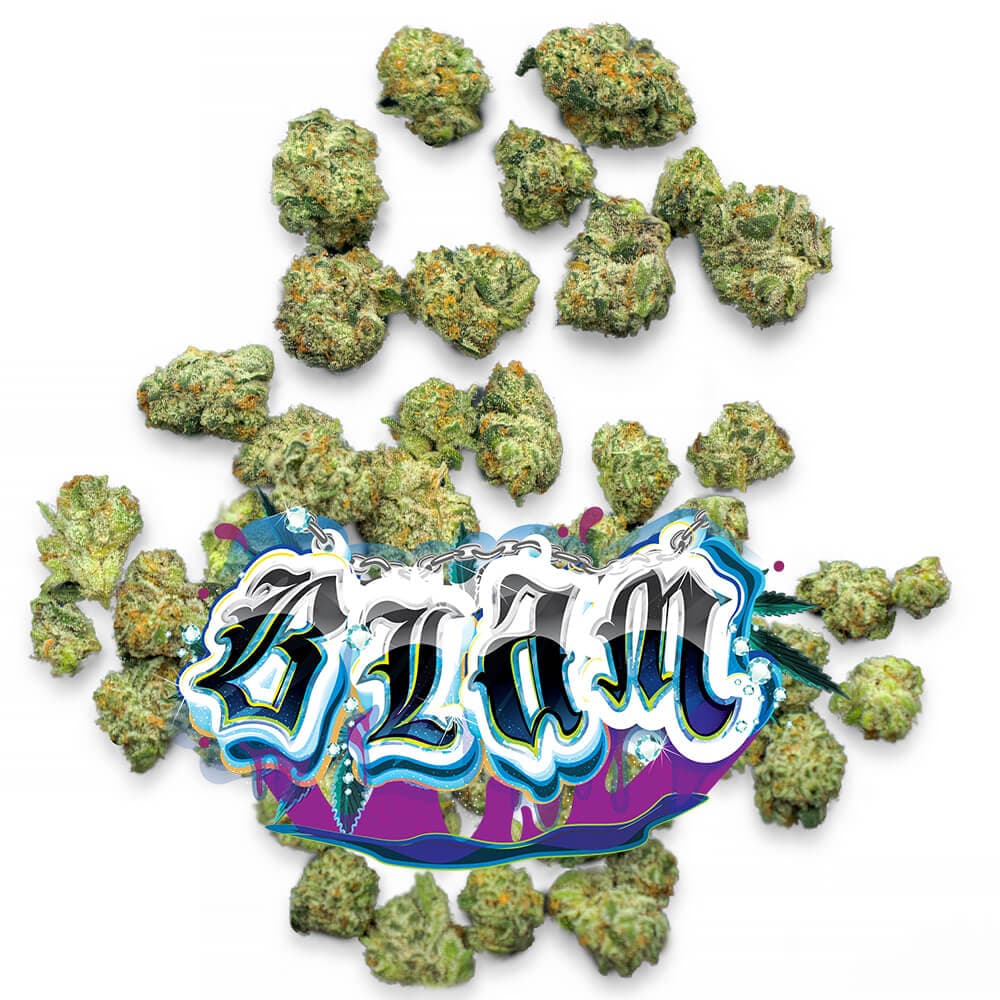 Jungle Boys BLAM - Pops