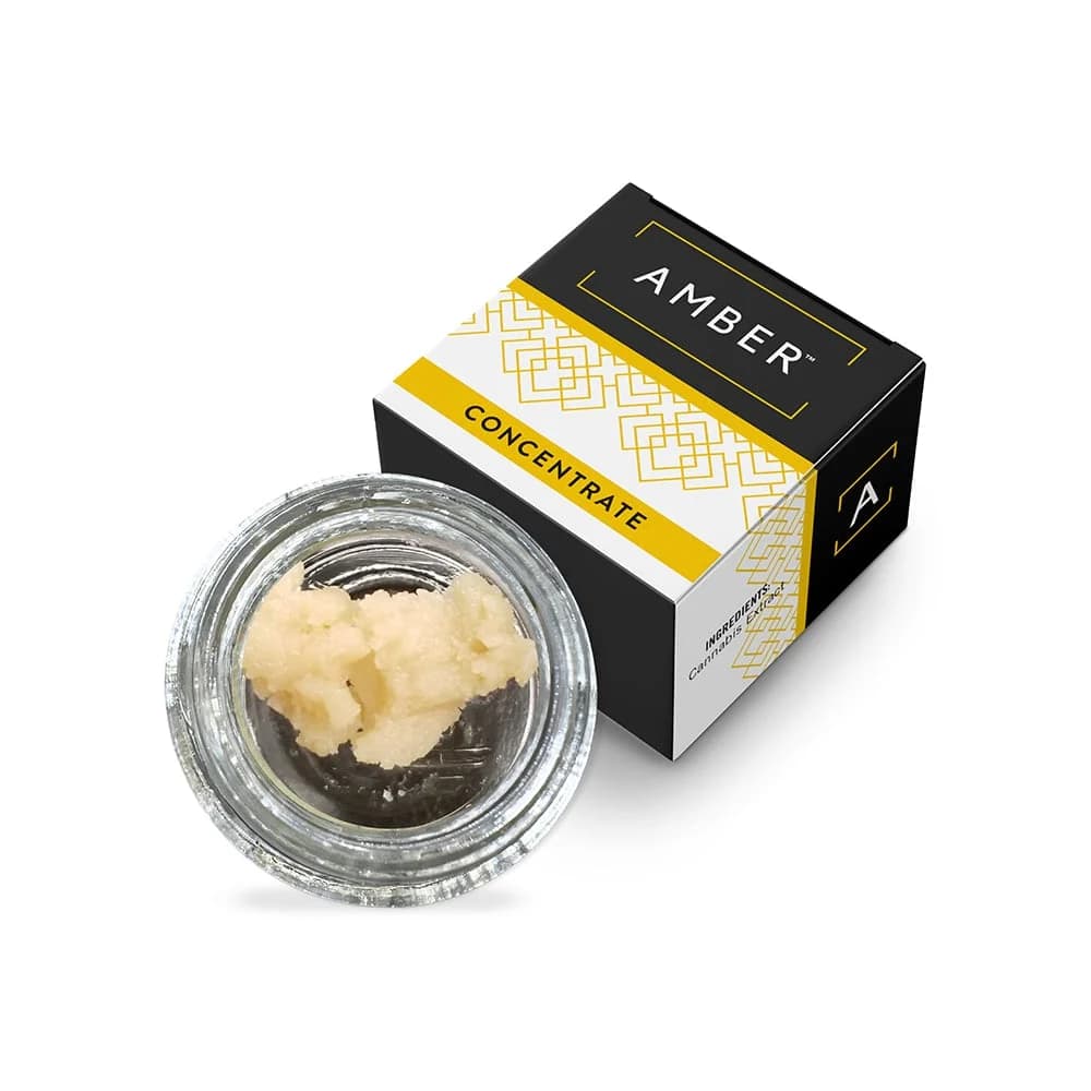 AMBER The Solution III