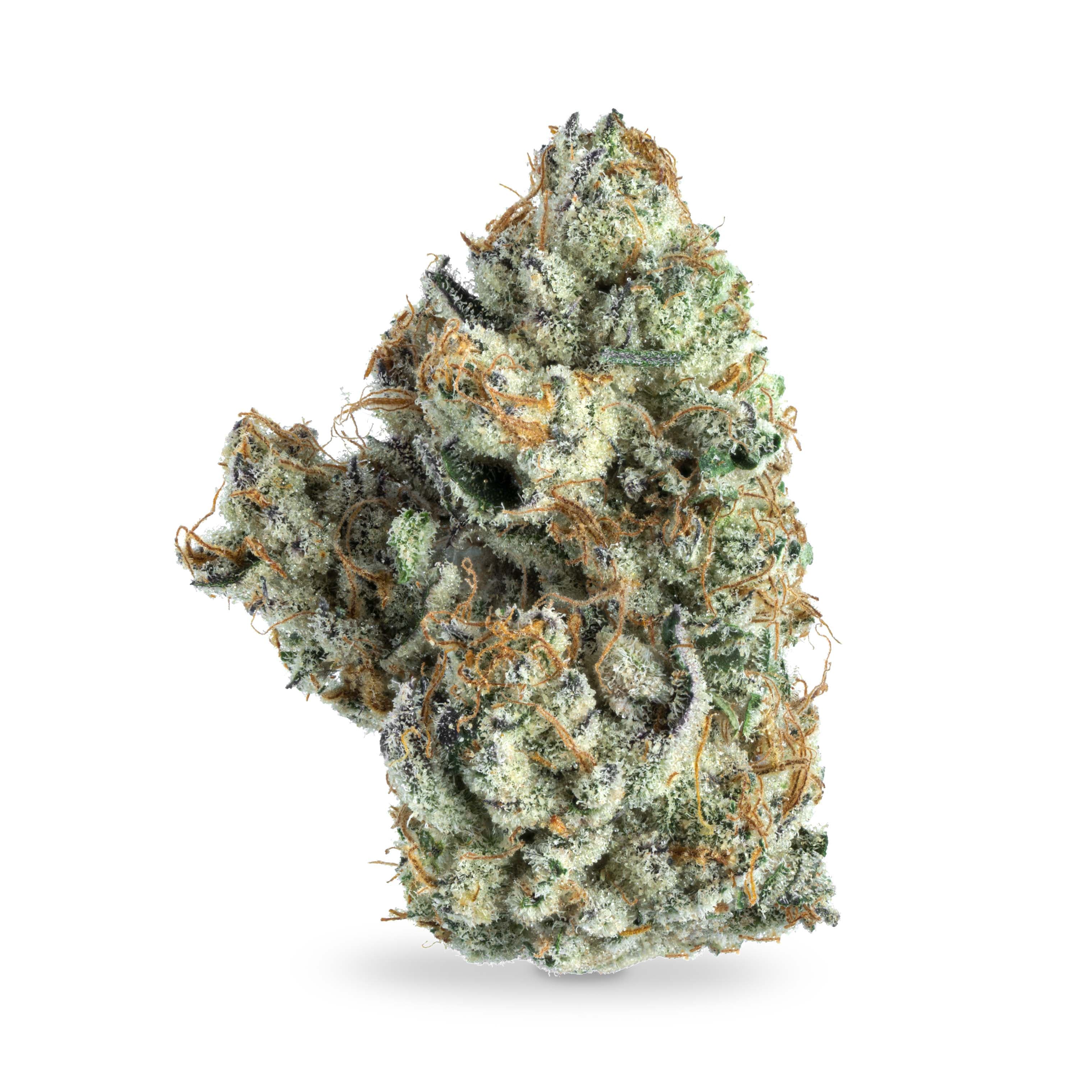 Neon Farms Grape Cake