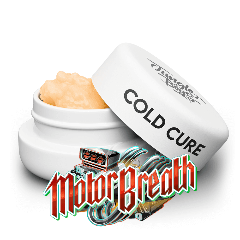 Jungle Boys Motor Breath - Cold Cure
