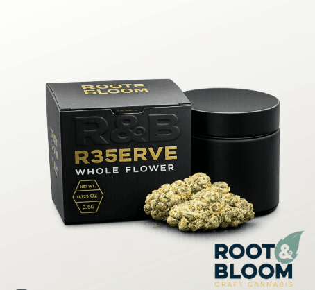 Root & Bloom