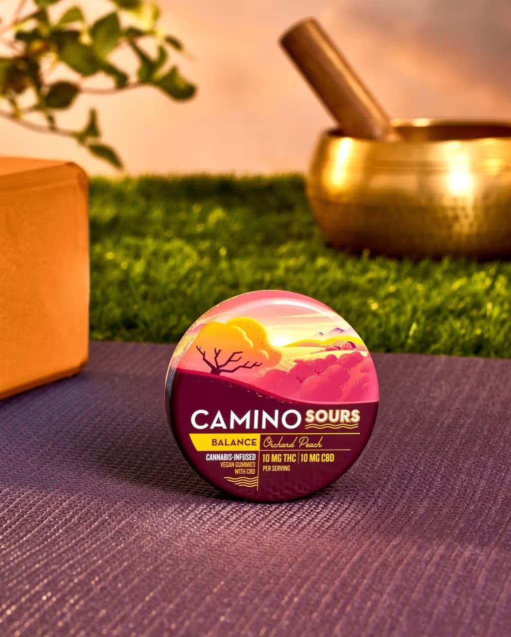 Camino Sours