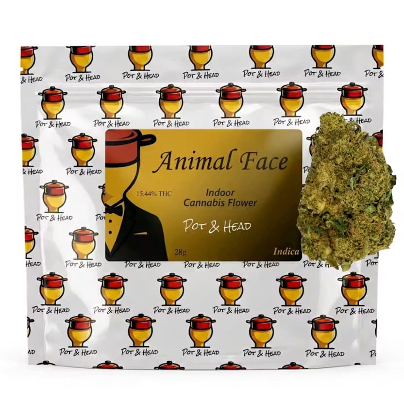 Pot & Head Animal Face