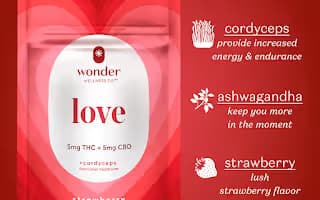 * Wonder Wellness Co.™ Wonder Love 1:1 Strawberry Gummies