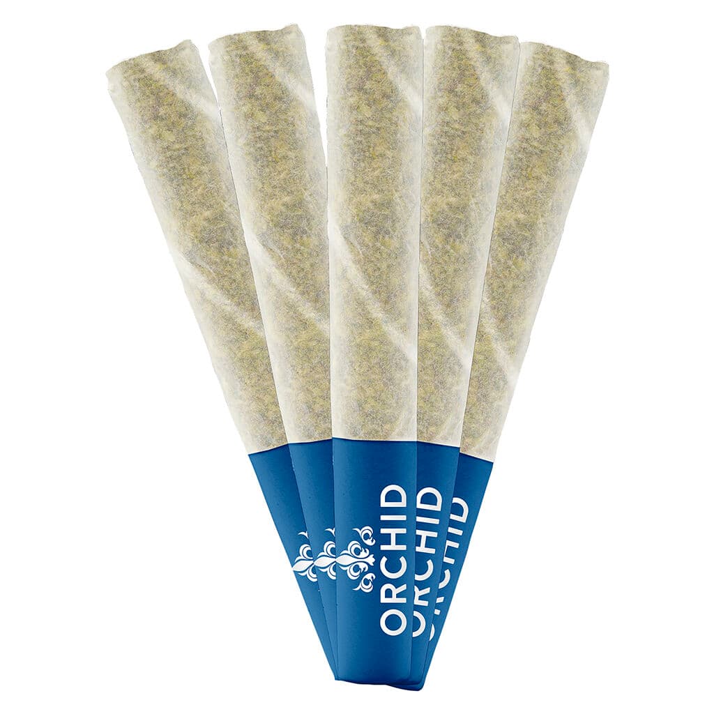 Orchid CBD Jean Guy CBD Pre-Rolls - Sativa - 5x0.5g