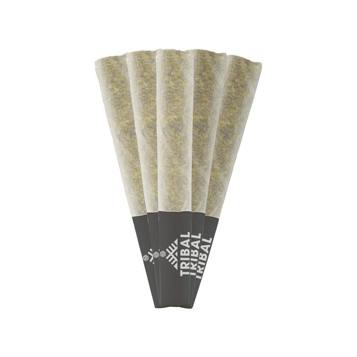 Tribal Cuban Linx Pre-Rolls - Sativa - 5x0.5g