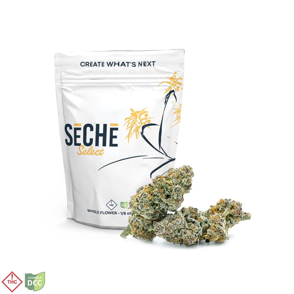 SeCHe Little Green Monster