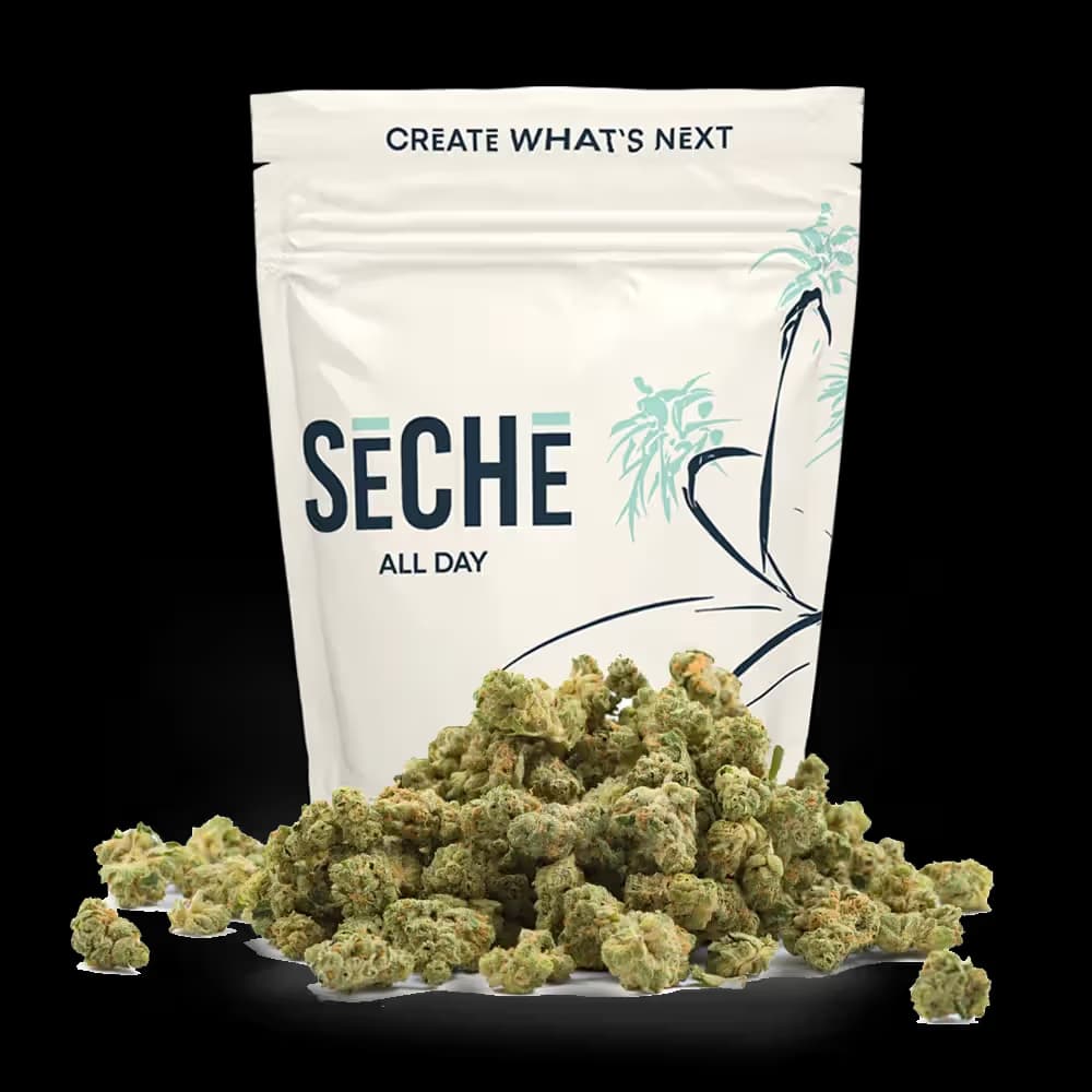 SeCHe Buddha Gas