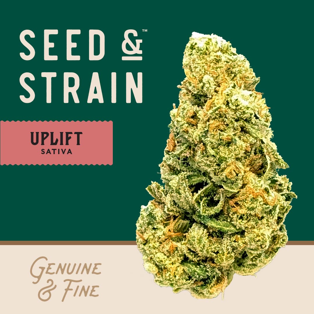 Seed & Strain Seed and Strain Cinderella 99 (S) Flower 7g