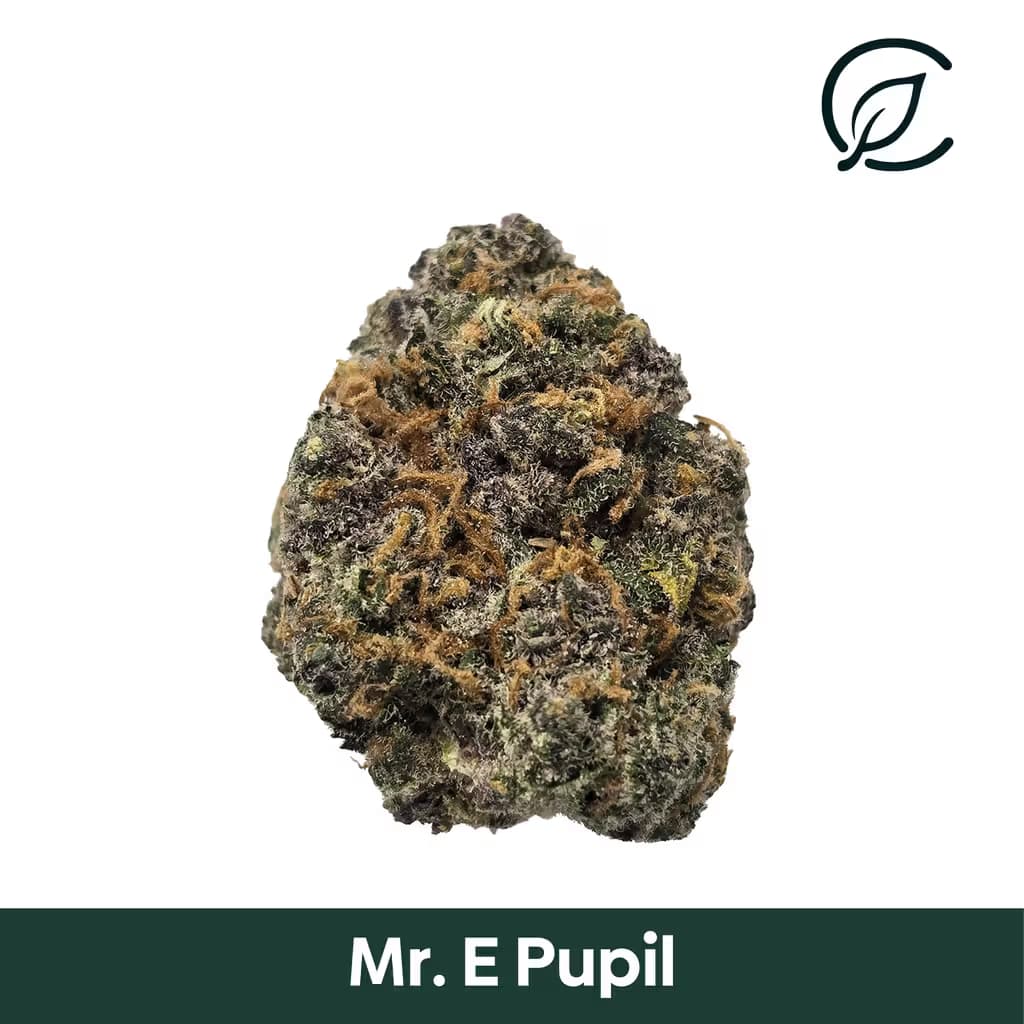 Curaleaf Mr. E Pupil (S) Flower C0030001133