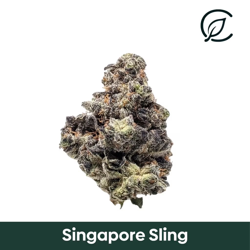 Curaleaf Singapore Sling