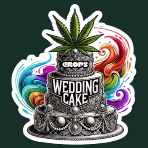 Justice Cannabis Company