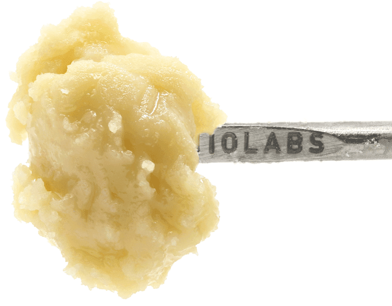 710 Labs Lemon Heads #4 + Mad Honey #42 | Live Rosin Badder