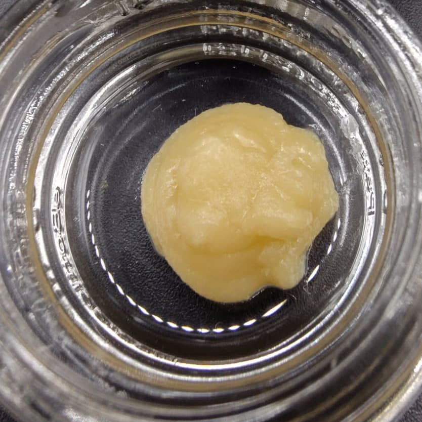 Squishy Scientific