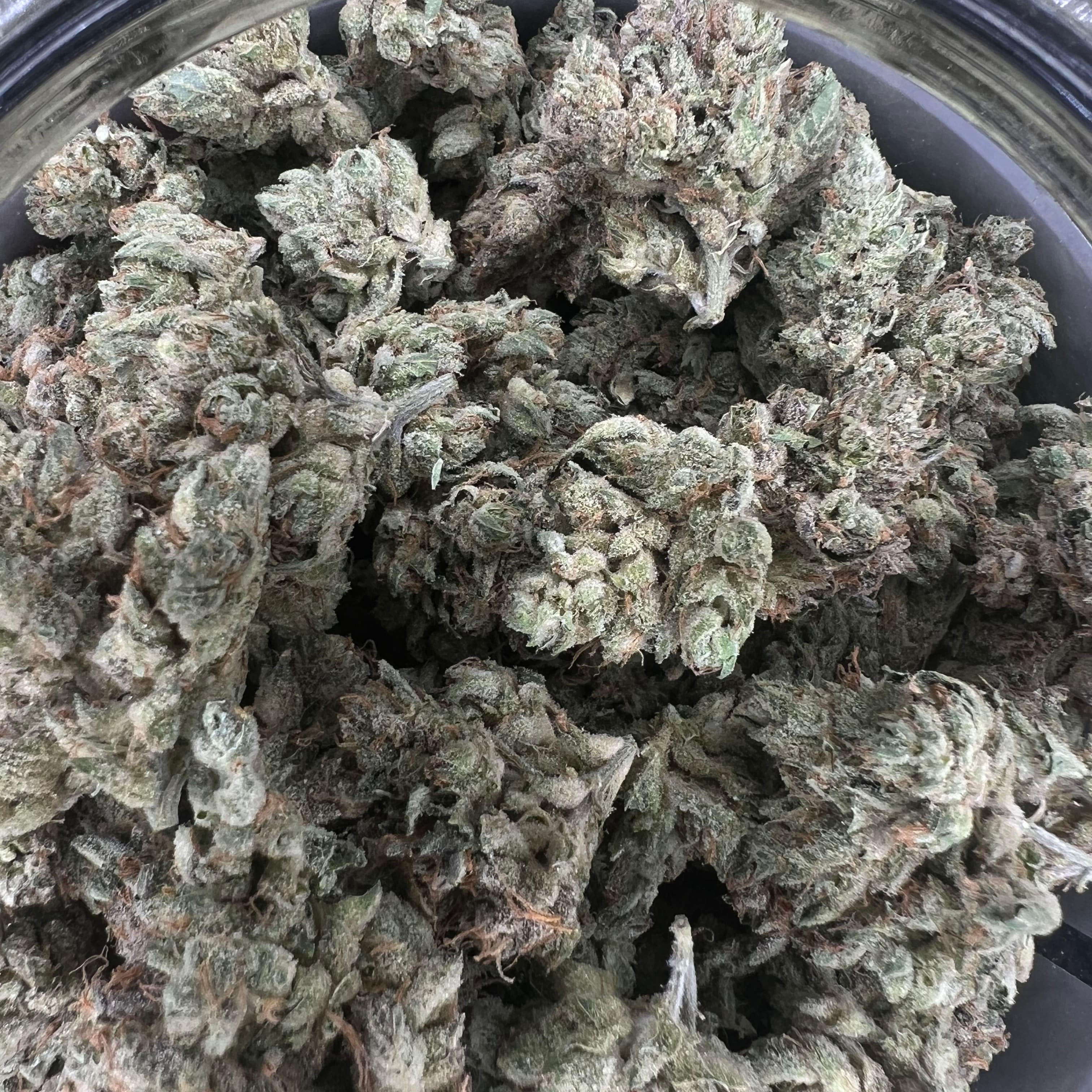 Resin Rancher's (REC) Stardawg
