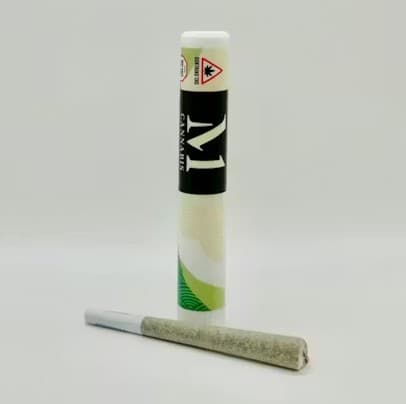 M1 Supreme Ruckus Pre-Roll