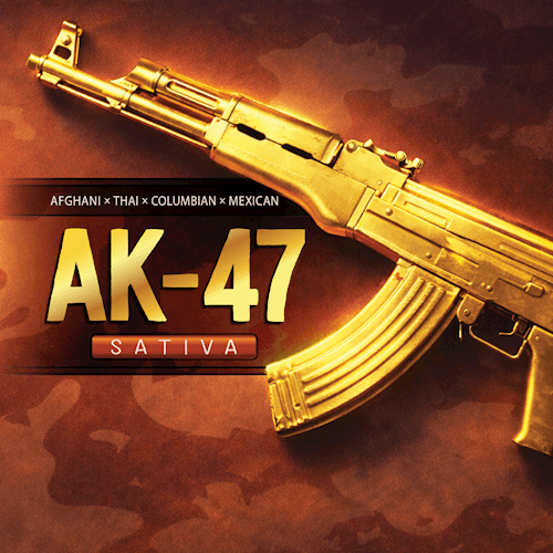 Harmony Farms AK-47 14g - Harmony Farms