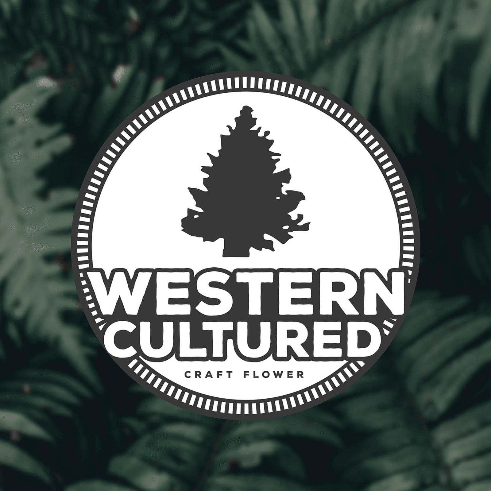 Western Cultured by Hannah Industries