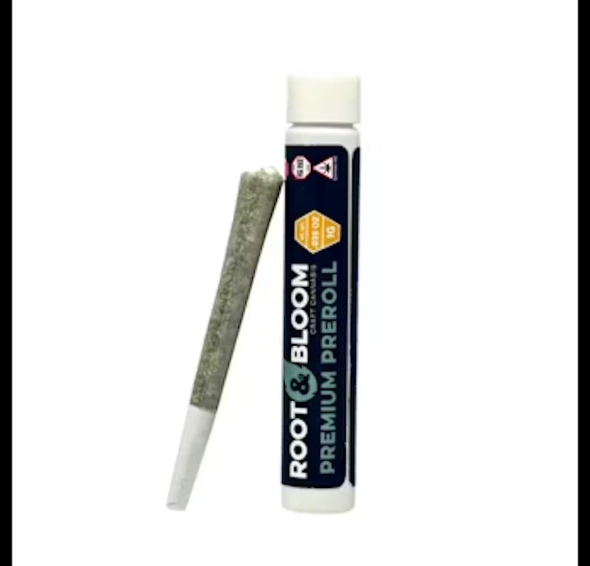Root & Bloom Ghost Dawg | Single | 1g