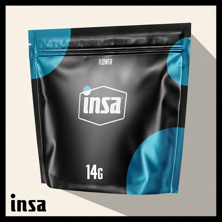 Insa