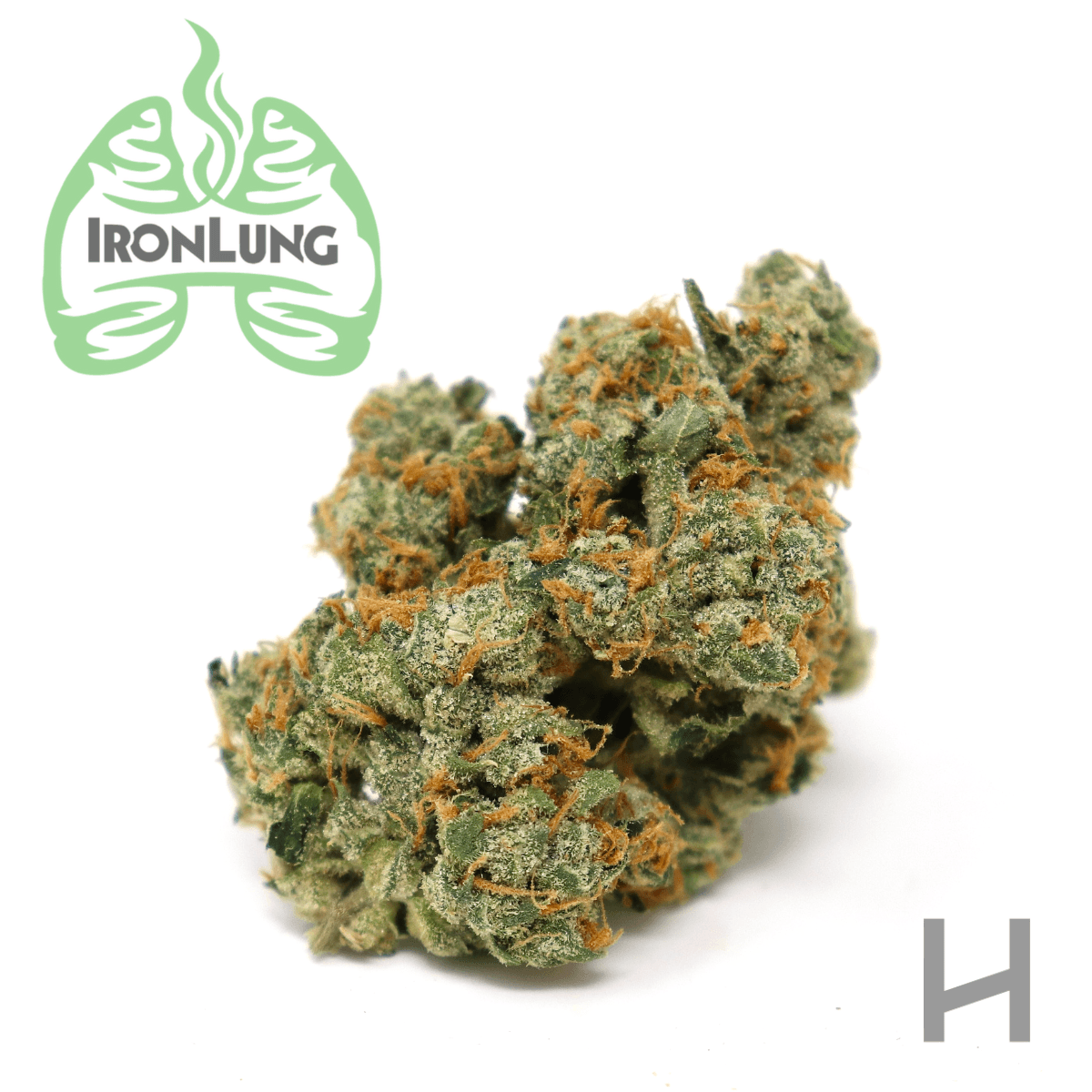 Iron Lung Mule Fuel | Flower | H | [3.5g]