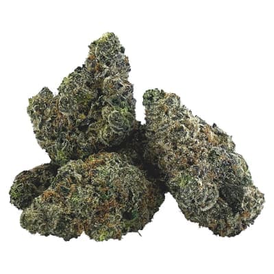 BC 1/4 Gravity - 7g Dried Flower