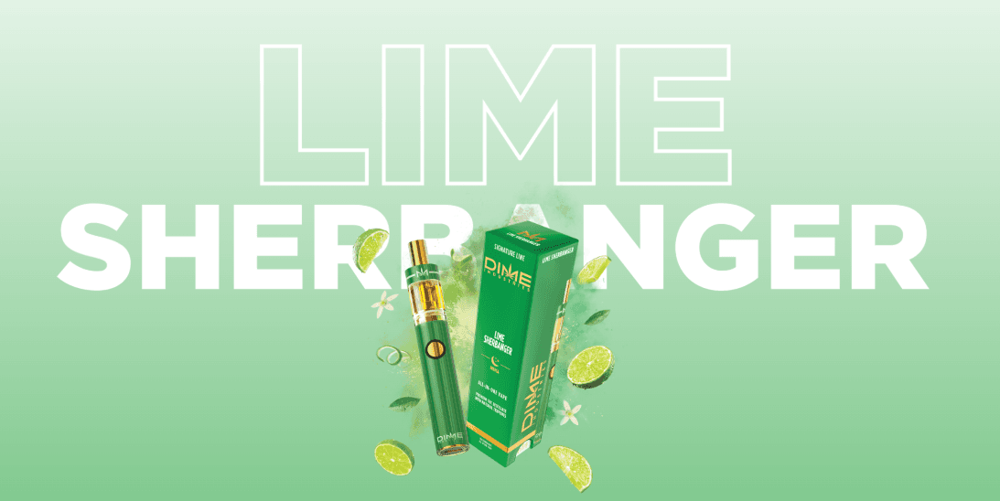 Dime Industries AIO VAPE | LIME SHERBANGER