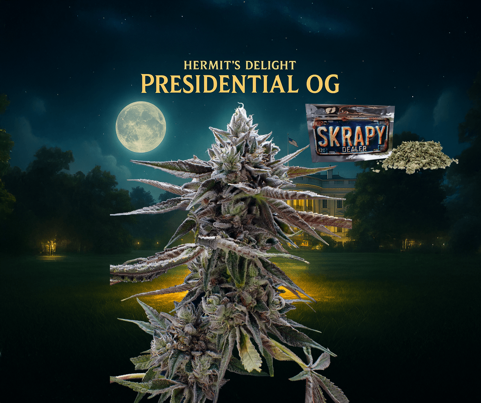 Skrapy