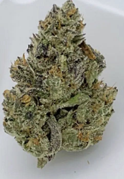 6 Point Cannabis Furloughed | Flower