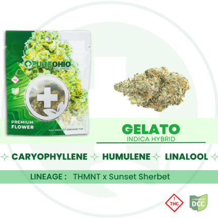 Pure Ohio Wellness Gelato (3.5g)
