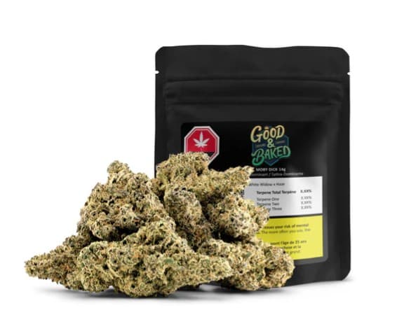 BCLDB Good & Baked: Moby Dick Flower