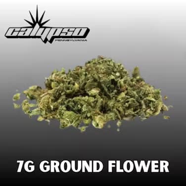 Calypso Calypsy Gypsy