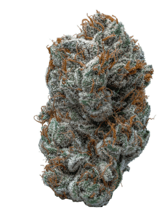 Contraband Contraband Panama - 7g