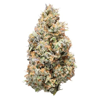 Nugz Sativa