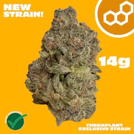 Theraplant HeadHunter 14g 42015