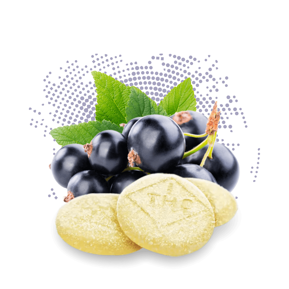 Cookies Black Currant - Rosin C-Bite - 100mg - 10ct