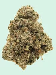The Healing Canna