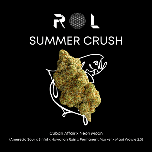 Basecamp Base Camp Summer Crush