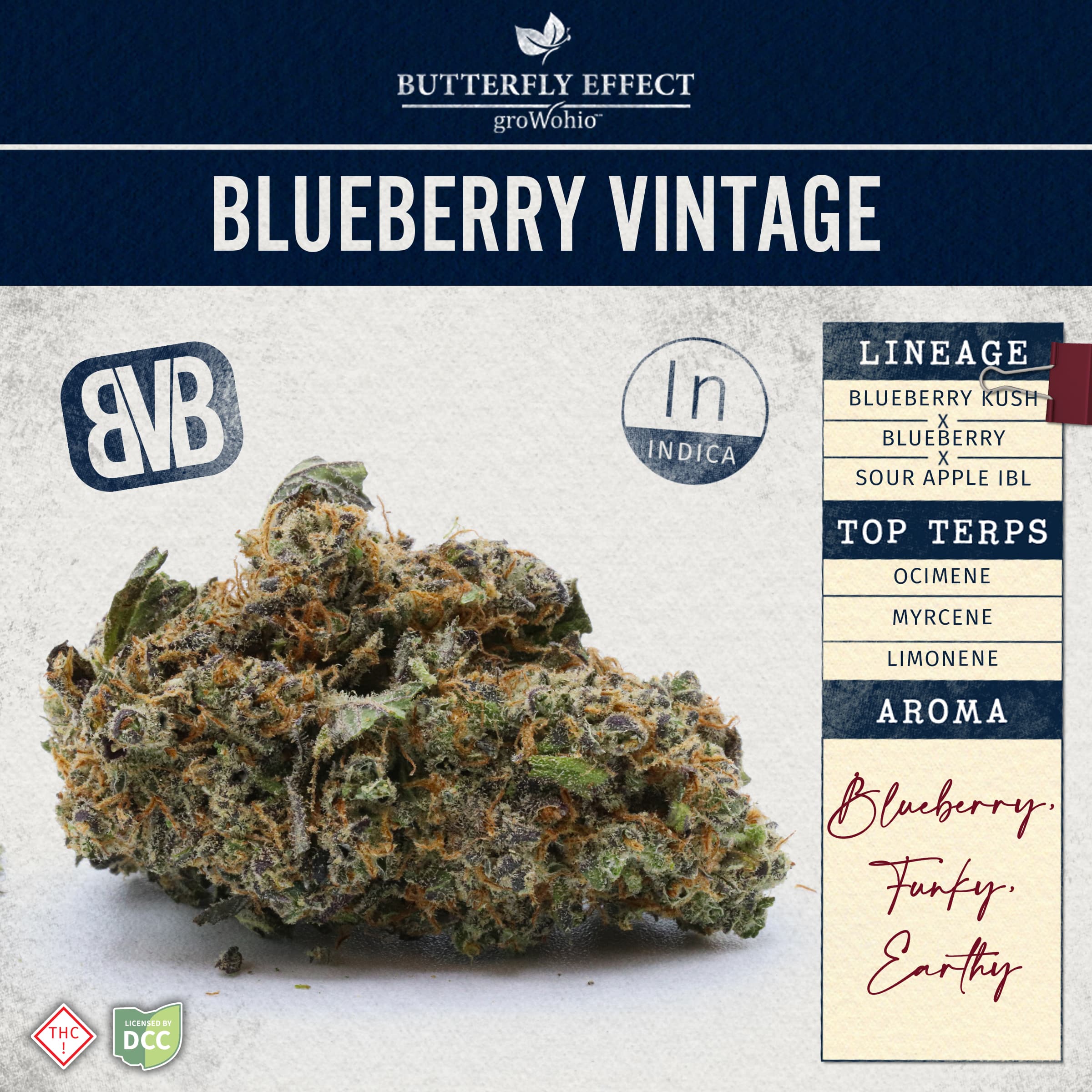 Butterfly Effect by Grow Ohio Blueberry Vintage - 28.3g Whole Flower