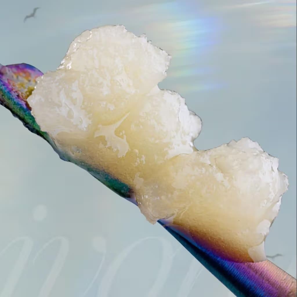 Ivory Concentrates
