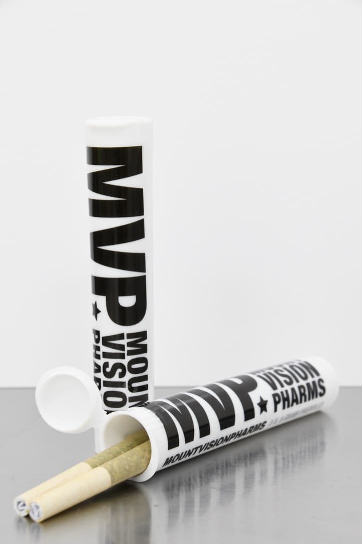 MVP Glue 31 - 2pk