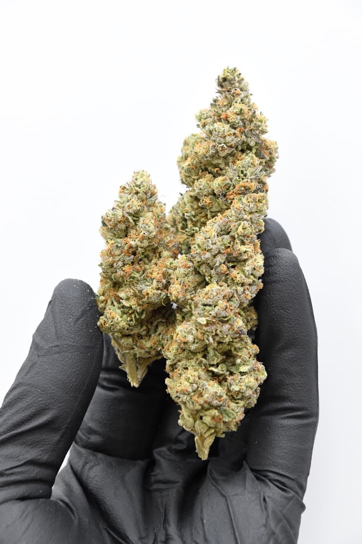 MVP Rainbow OG - 3.5G