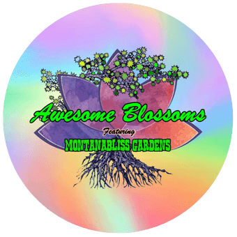 Awesome Blossom Blossoms - Berry Bliss CannaChew