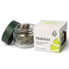 Habitat Champagne | 3.5g