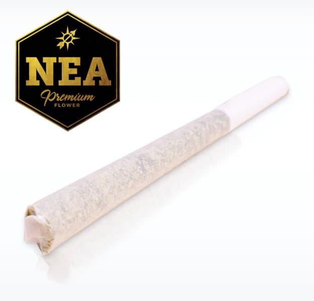 Northeast Alternatives Heavy Eye