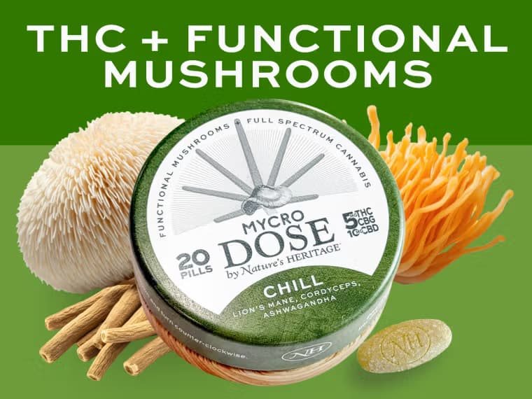 Mycro Dose Chill | THC + Mushrooms | 20pk