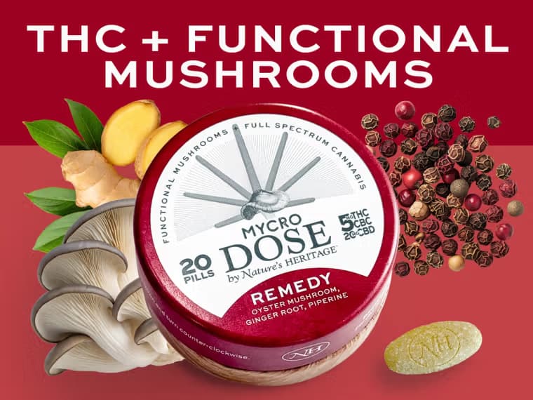 Mycro Dose Remedy | THC + Mushrooms | 20pk