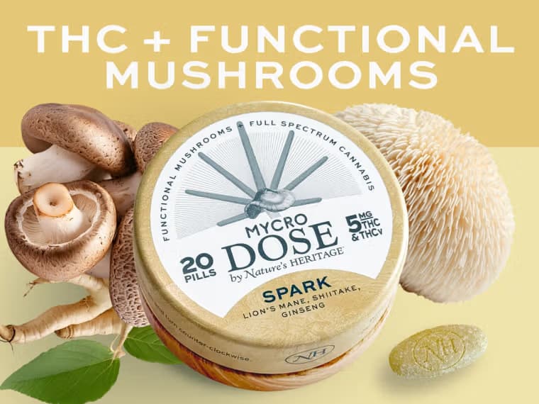 Mycro Dose Spark | THC + Mushrooms | 20pk